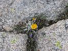 Wallis 06.-12.07.2006-thb50.jpg